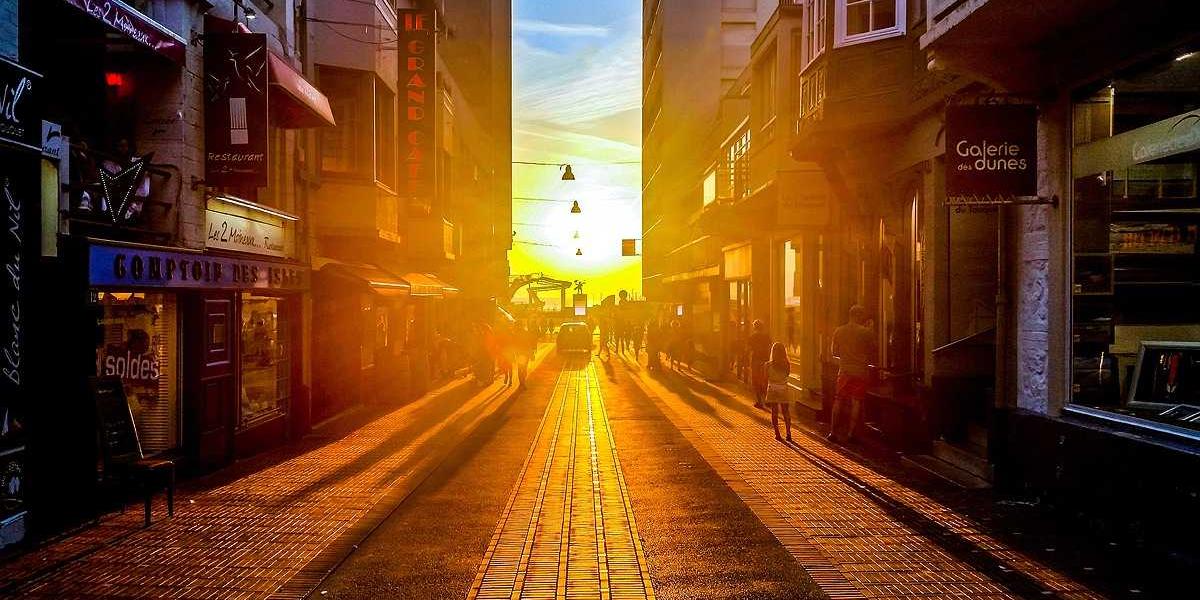 哈尔滨少儿编程培训机构的电话号码是多少？