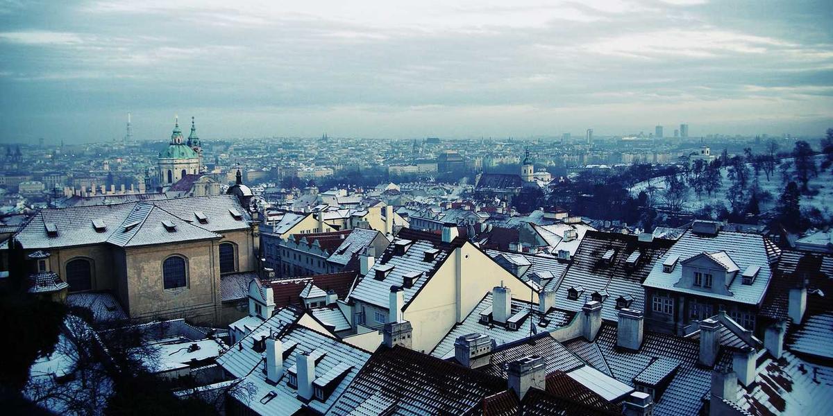 少儿编程行业如何应对增长与挑战并存的时代？