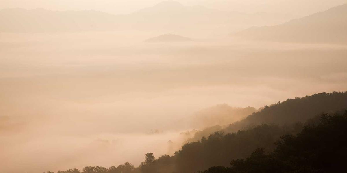 少儿编程APP哪家强？安全下载的门道可不少