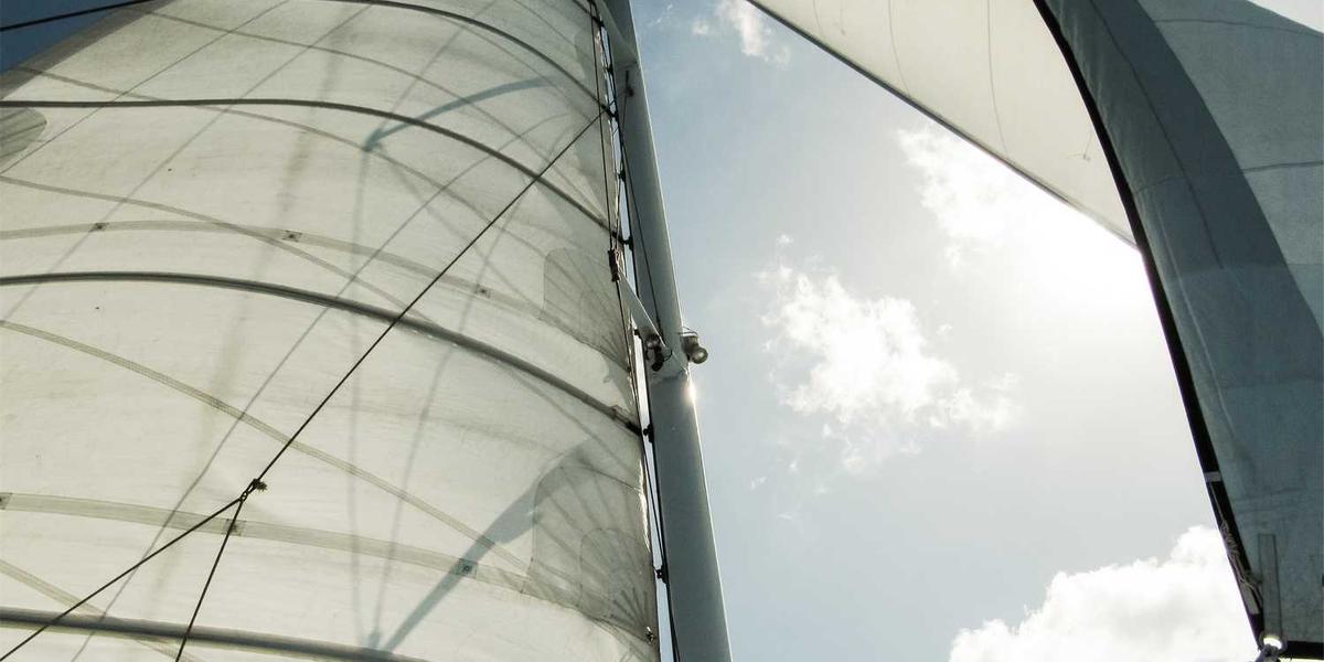 Scratch中的‘移到鼠标指针’功能为什么能让角色如此听话？