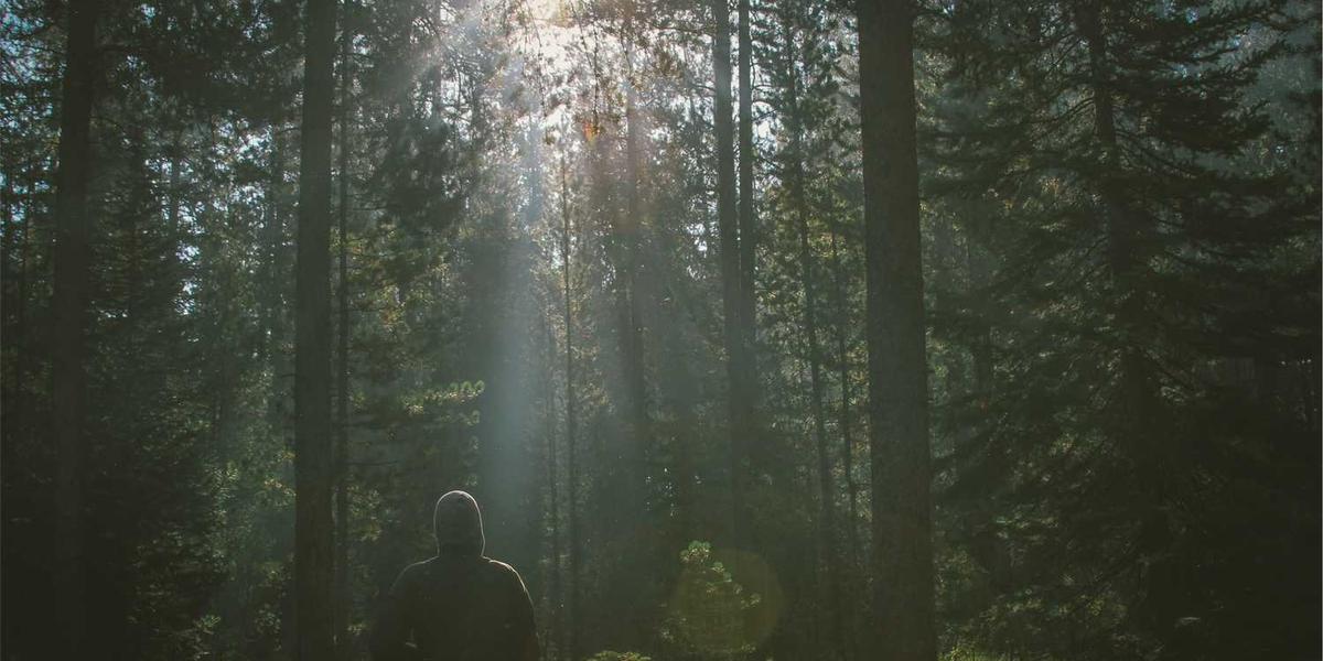 少儿编程课听课记录怎么写才能既专业又不无聊？