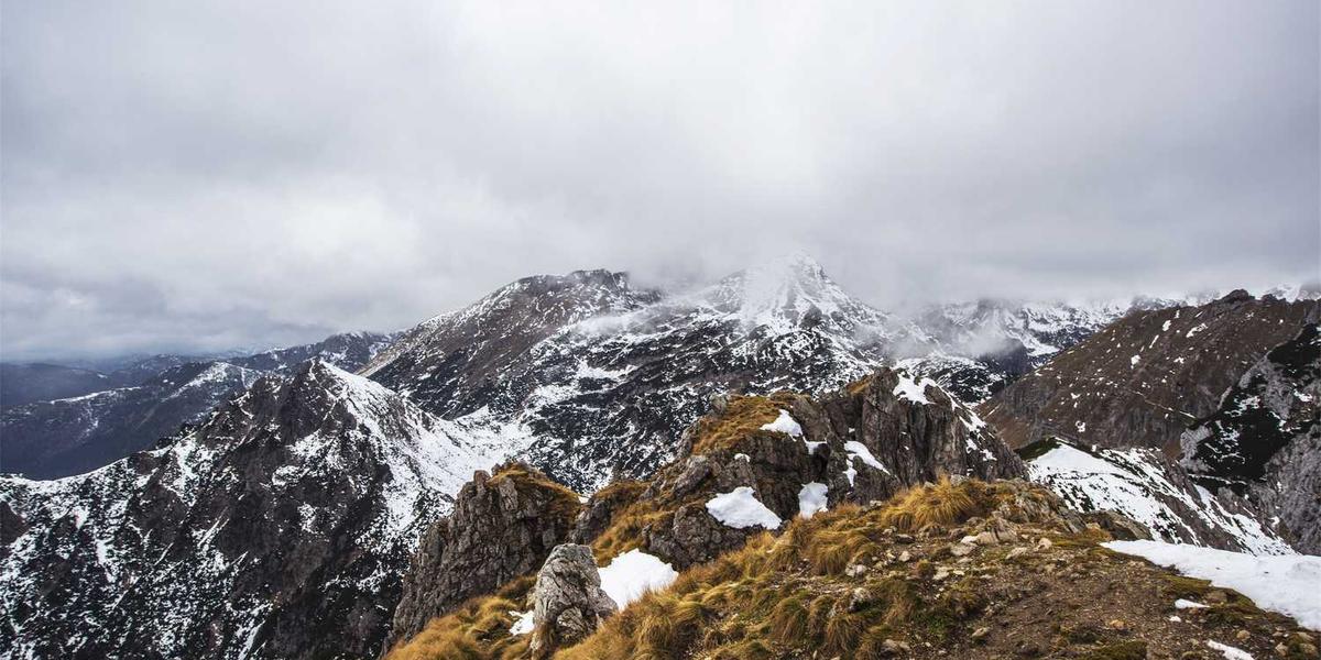 重庆少儿编程获奖名单查询网址是多少号？