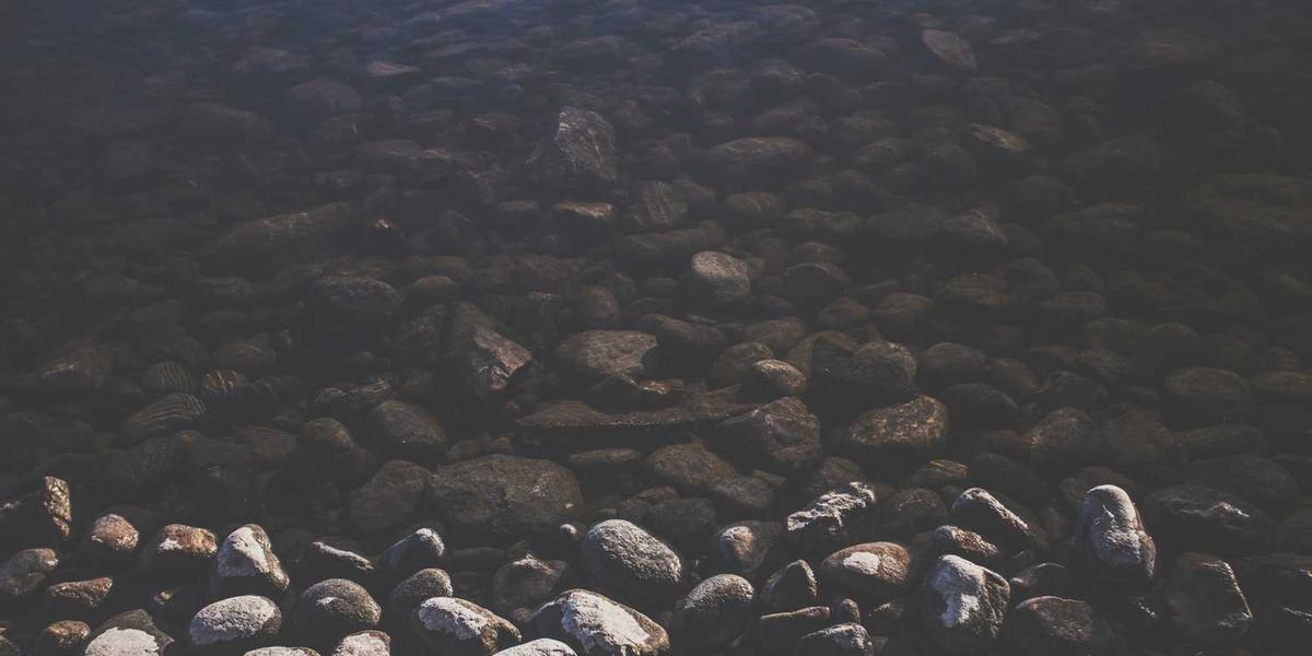 聊城少儿编程培训机构排名榜单最新？家长别被忽悠了！