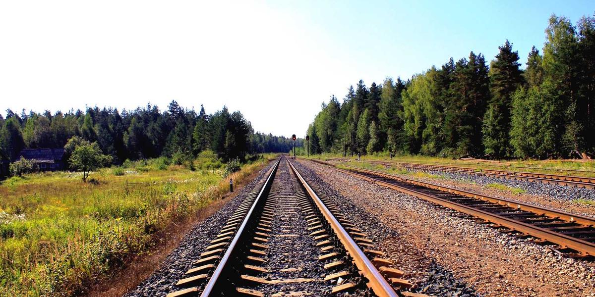 少儿编程网站首页代码的关键组成部分是什么？