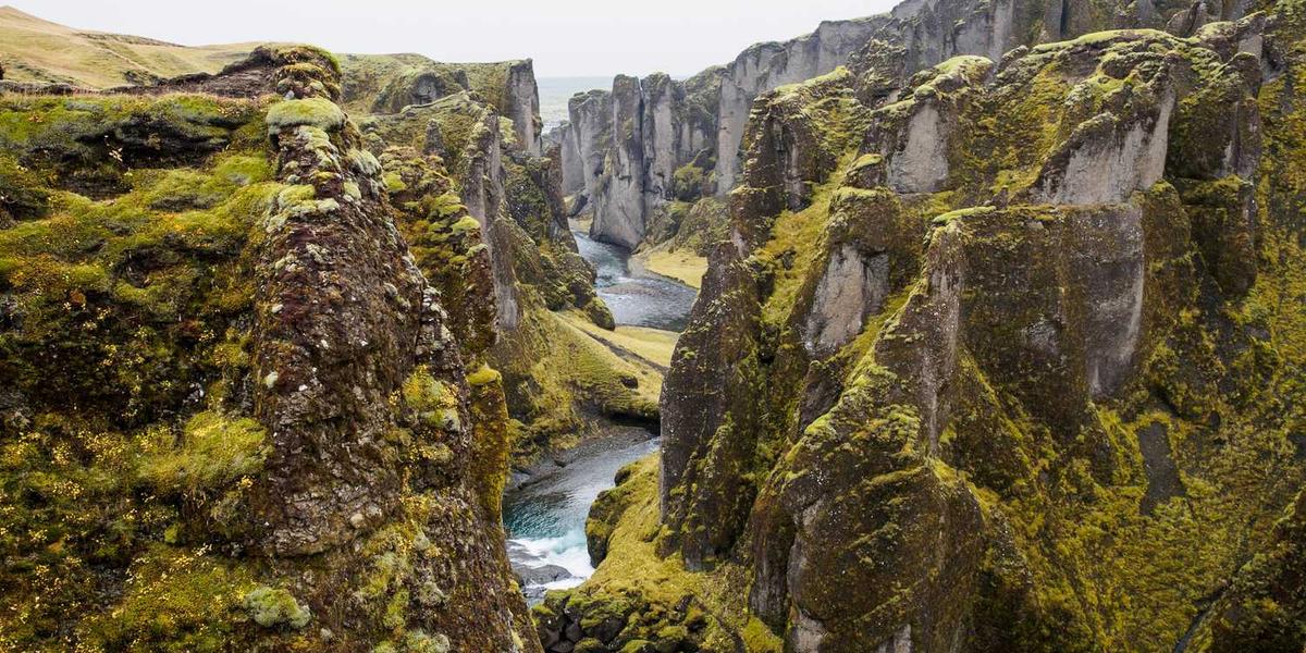 少儿编程领域有哪些主流软件工具可供选择？