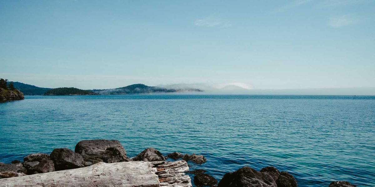 温州少儿编程培训学校地址在哪里？学费多少钱啊？