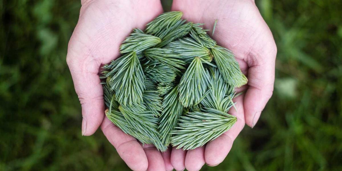 Scratch到底适合多大年龄的孩子玩？