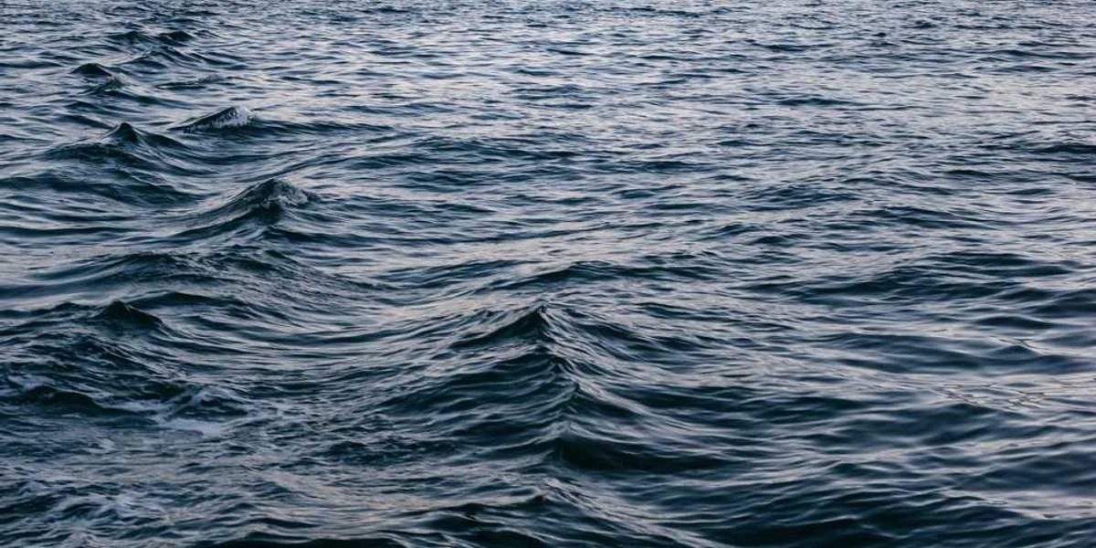 嘉兴地区有哪些知名的少儿编程培训学校？