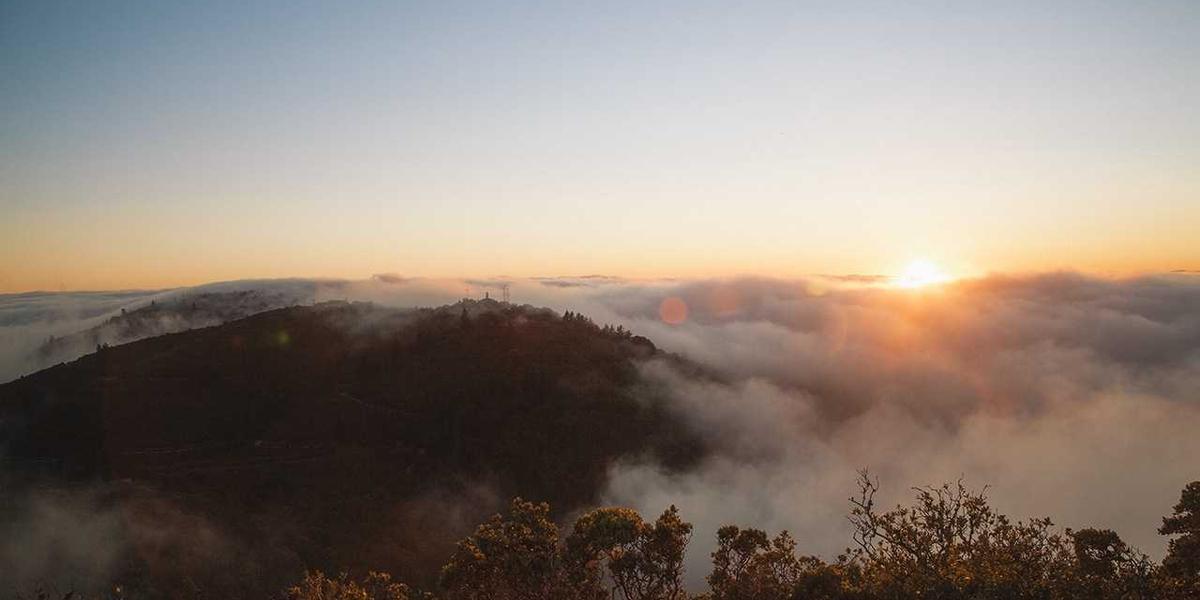 少儿编程课程总结如何与三年级语文教学结合？