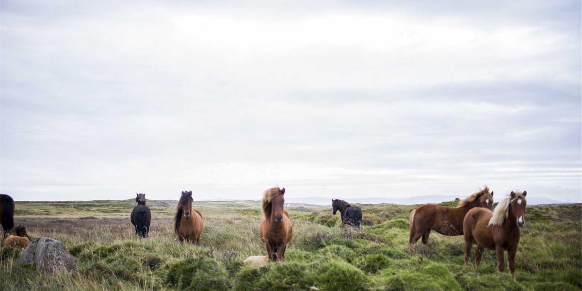 如何在Scratch中设计一个核辐射逃亡游戏？