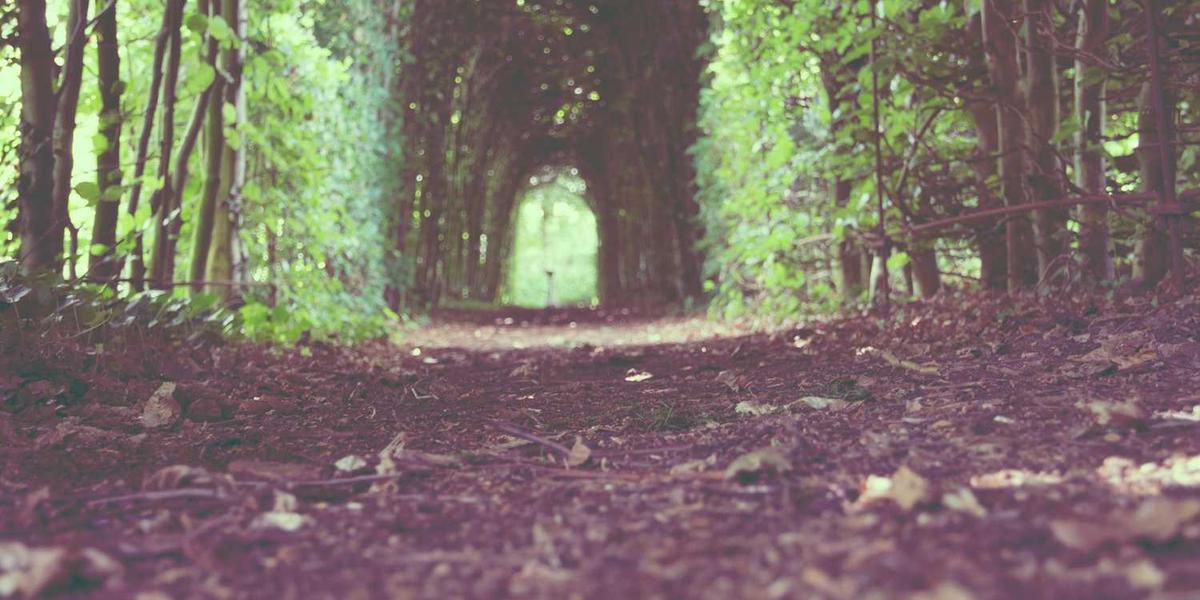 四川少儿编程培训机构中哪家在师资与课程上更具优势？