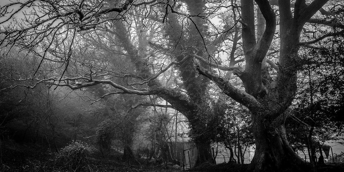 少儿编程初学者书籍有哪些好用的？