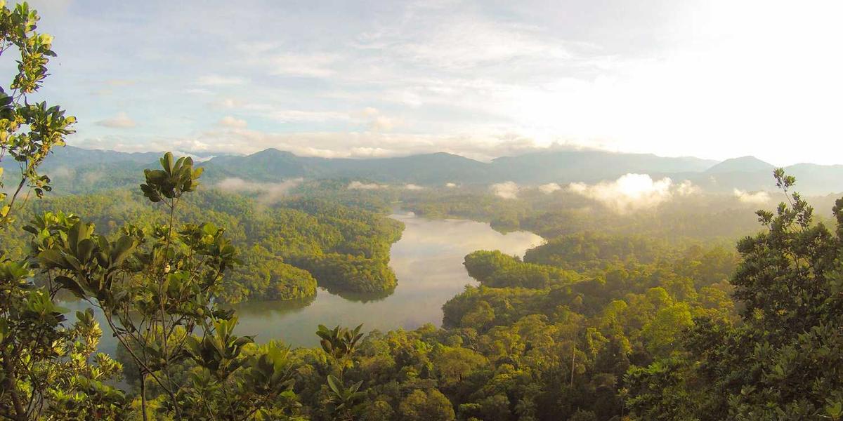 Scratch中拖尾效果为什么有时会卡顿或不连贯