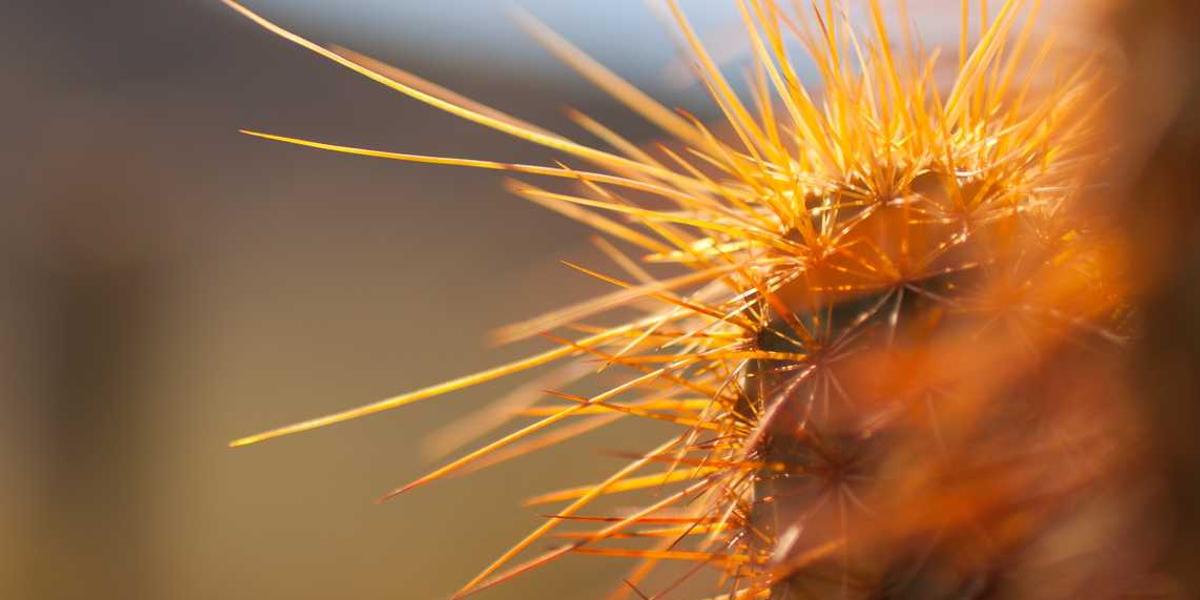 如何在Scratch中确保长方形围绕舞台中心精确绘制？