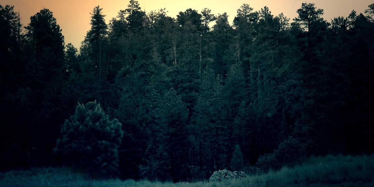 唐山市少儿编程学校都有哪些专业课程？