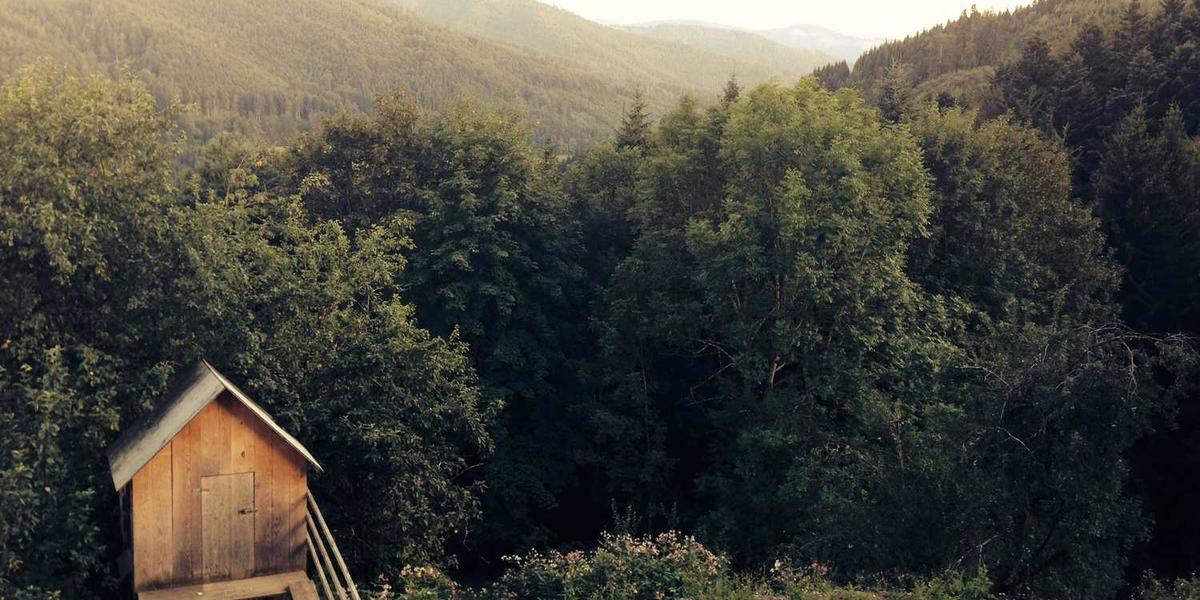 女生学编程真有特殊优势？