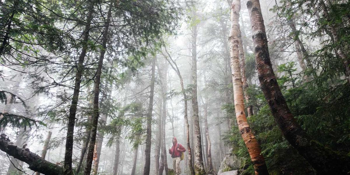 教育部的少儿编程规定文件到底在说啥？