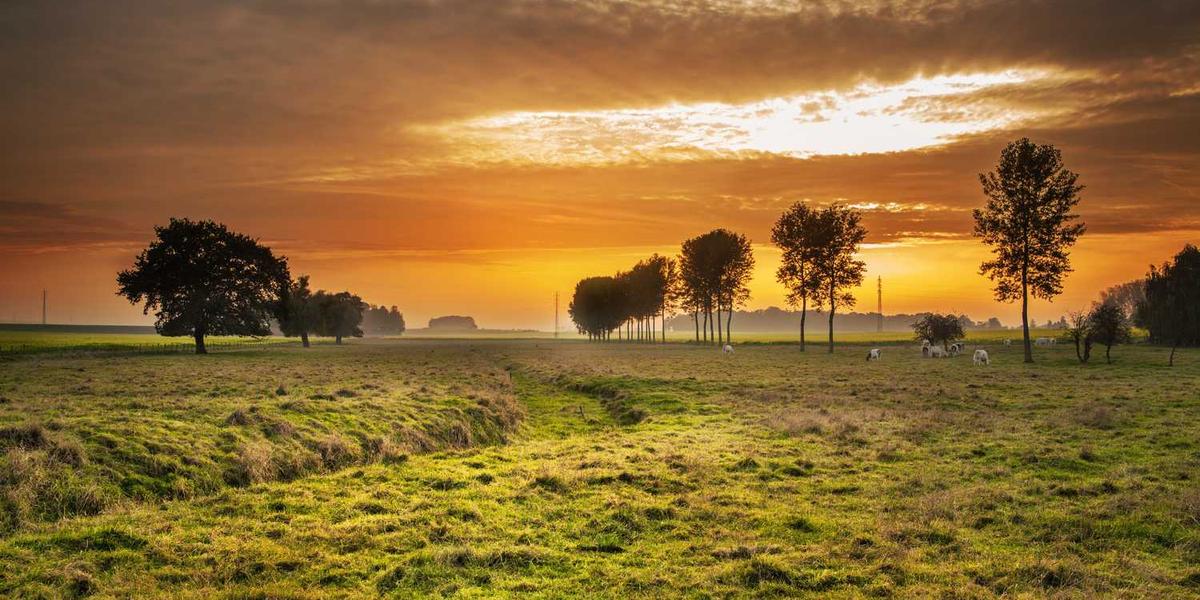 孩子到底几岁学编程最合适？