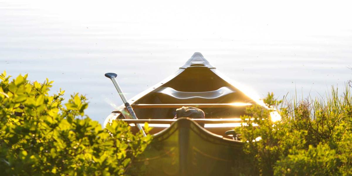 少儿编程上课流程的视频和图片资源有哪些？