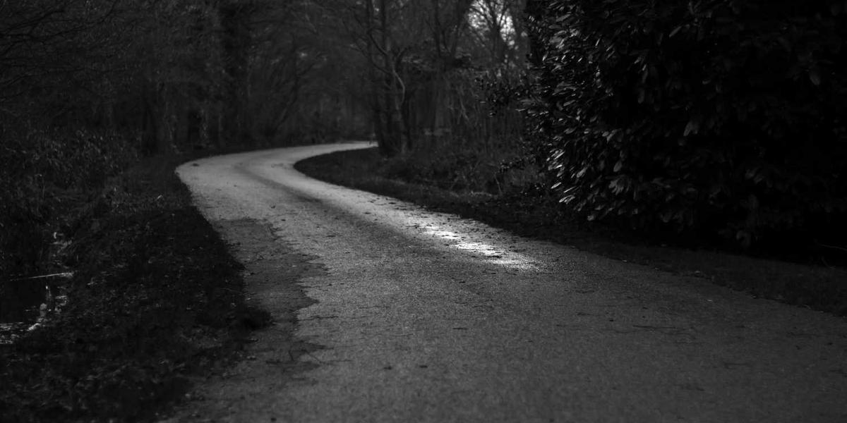 Scratch游戏开始音效：它在少儿编程项目中如何影响用户体验？