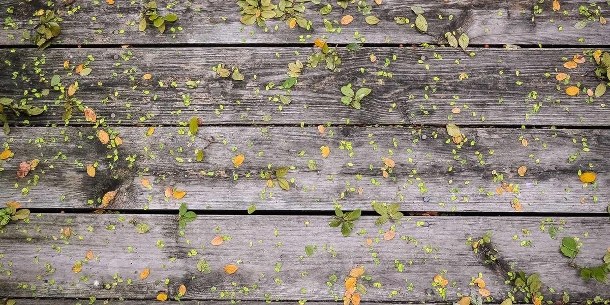 少儿编程Scratch如何轻松创作蜜雪冰城背景音乐？