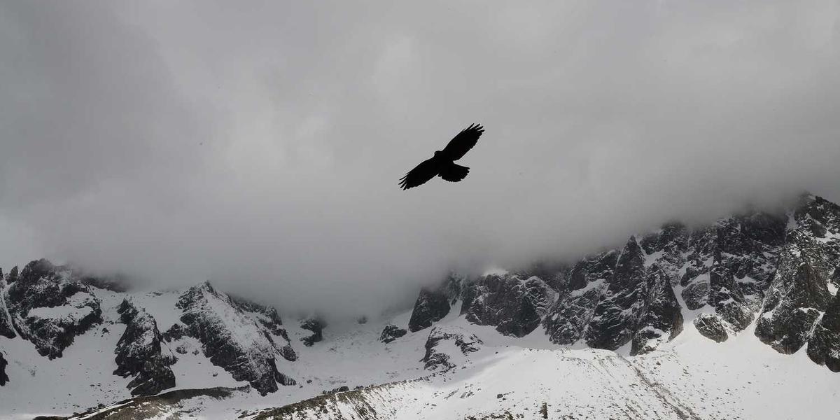 Scratch启蒙攻略：如何高效启动少儿编程学习？