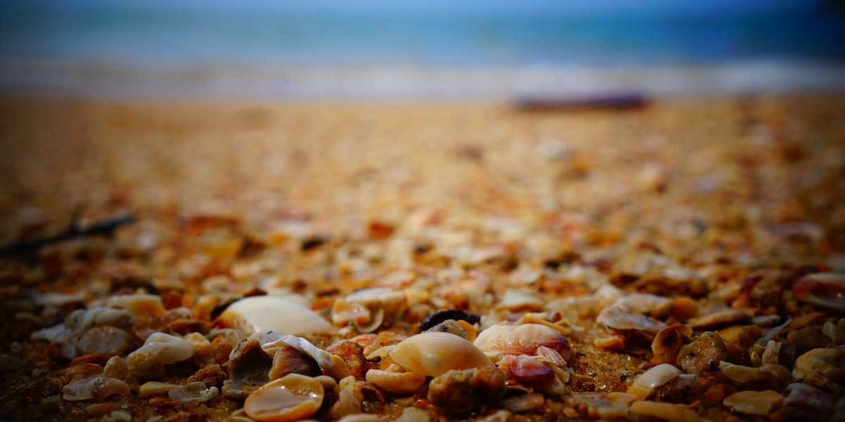 Scratch中角色走路动画的实现机制是什么？